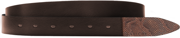 Buckle (700x495), Png Download