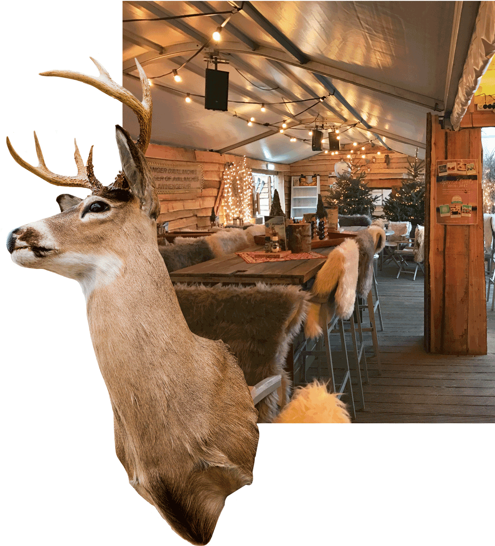Hert Stube - Elk (1000x1096), Png Download