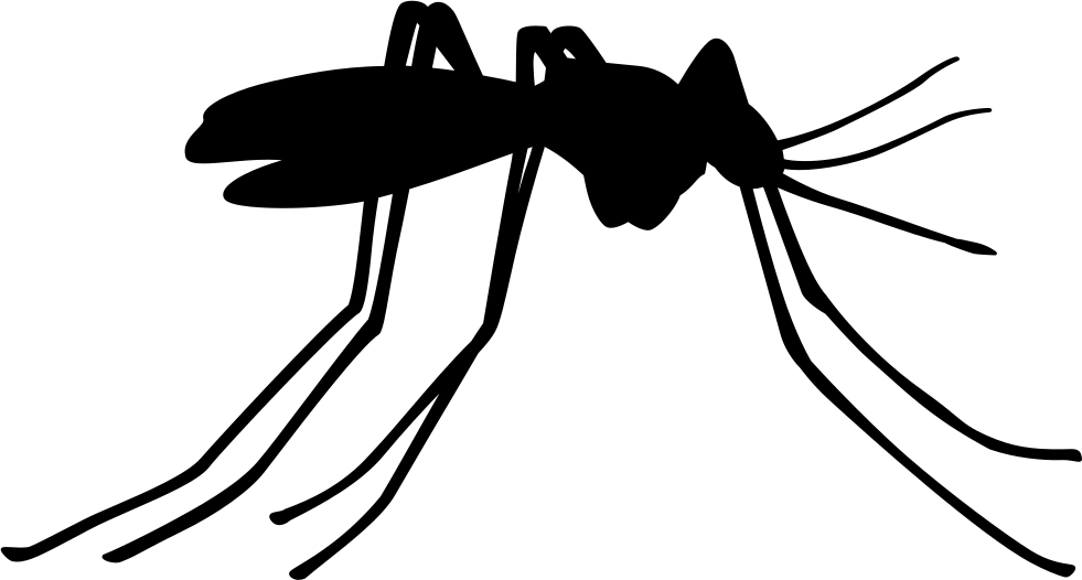 Mosquito Insect Side View Comments - No Mosquito Png (981x526), Png Download