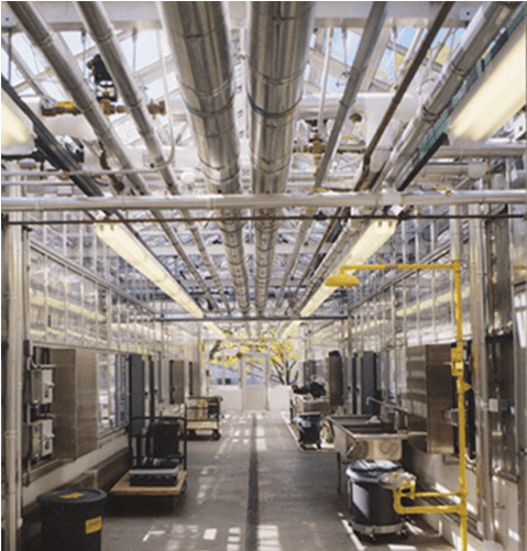 Cornell Greenhouse - Ceiling (700x500), Png Download