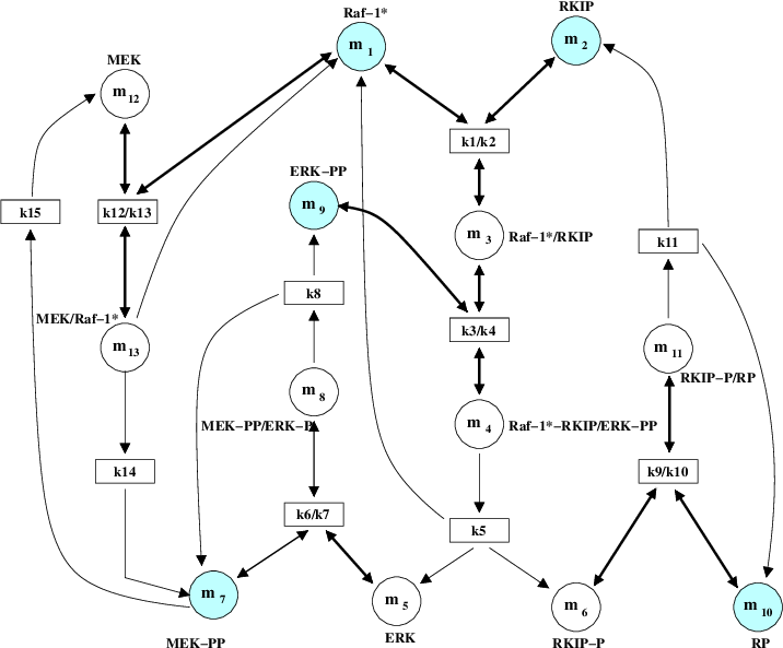 Rkip Inhibited Erk Pathway - Diagram (716x593), Png Download
