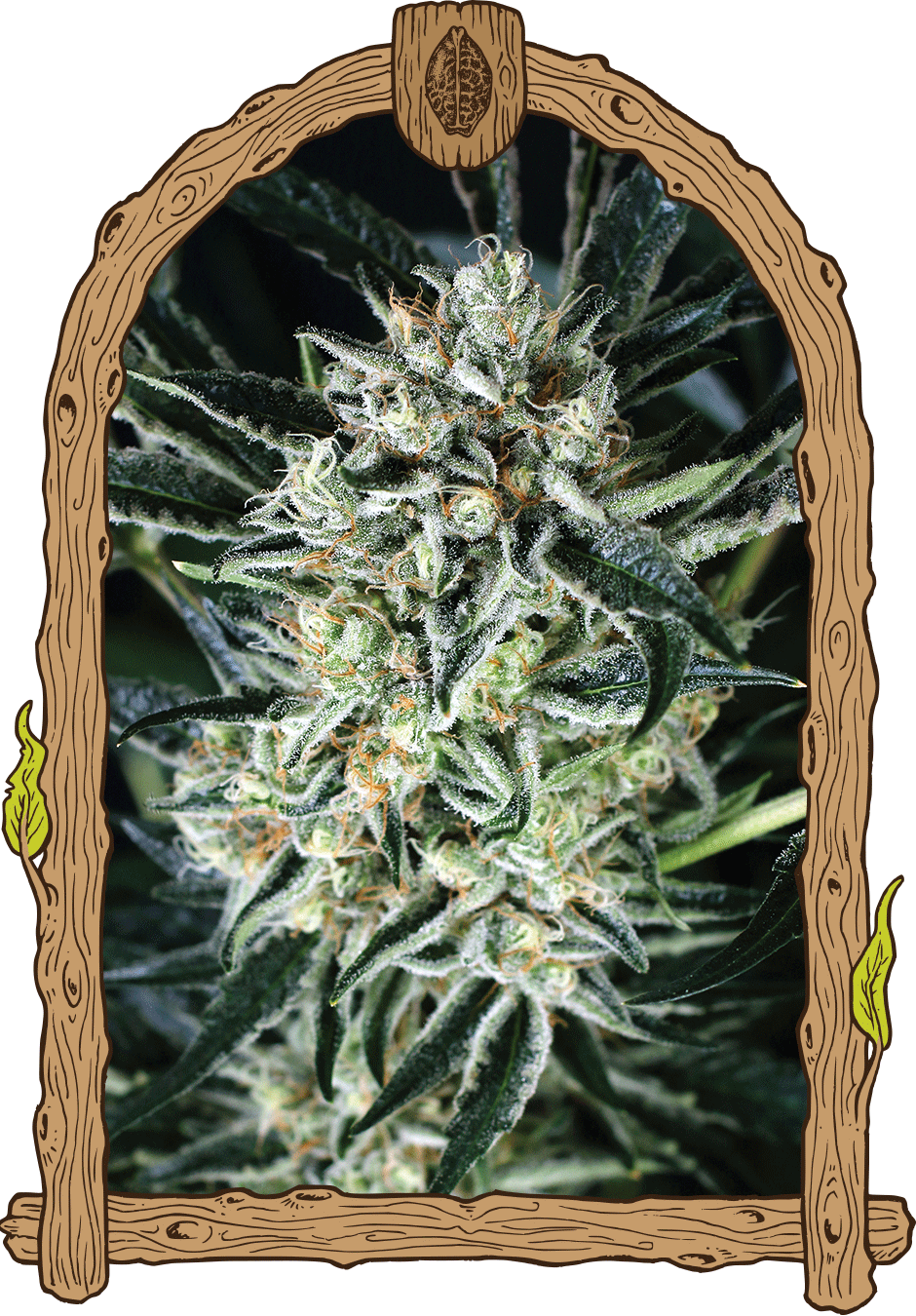 Herz Og Weed (940x1350), Png Download