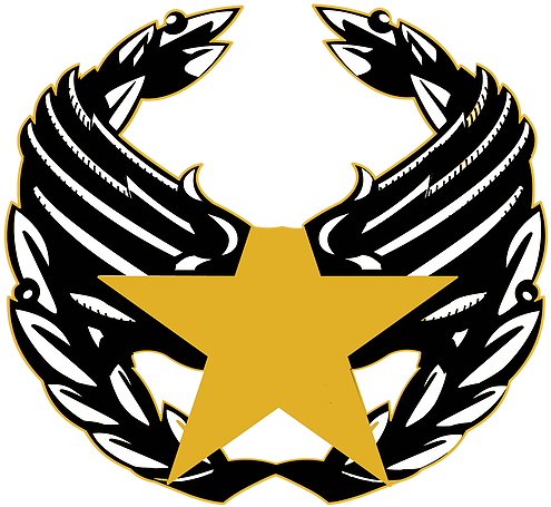 Trenton Capitals - - United States Air Force (601x601), Png Download