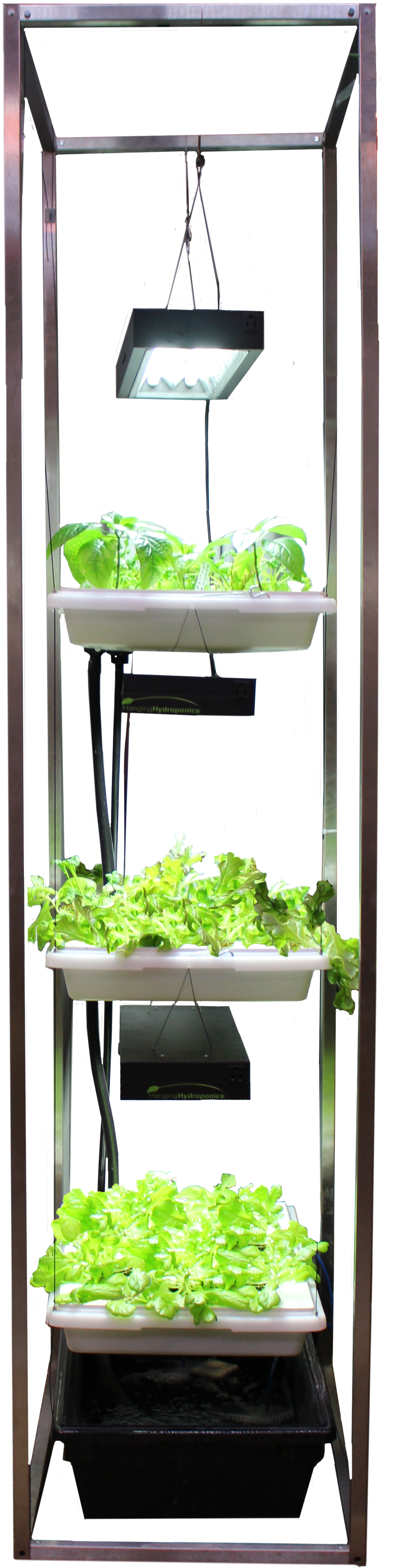 Hanging Hydroponics® - Leaf Vegetable (1190x4466), Png Download