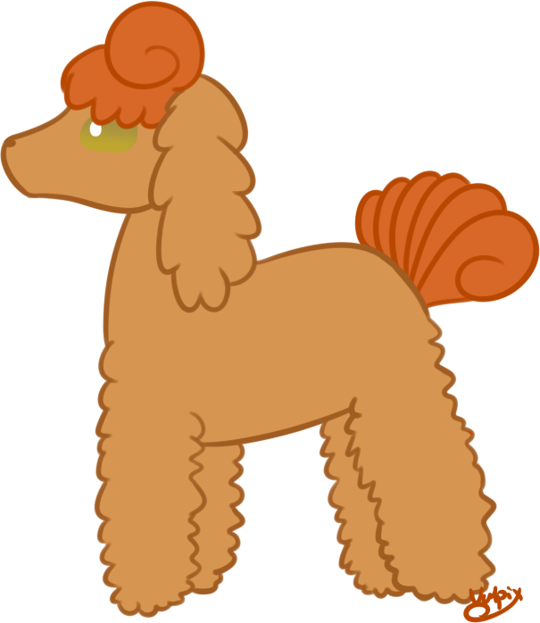 Vulpix Daily - Standard Poodle (605x698), Png Download