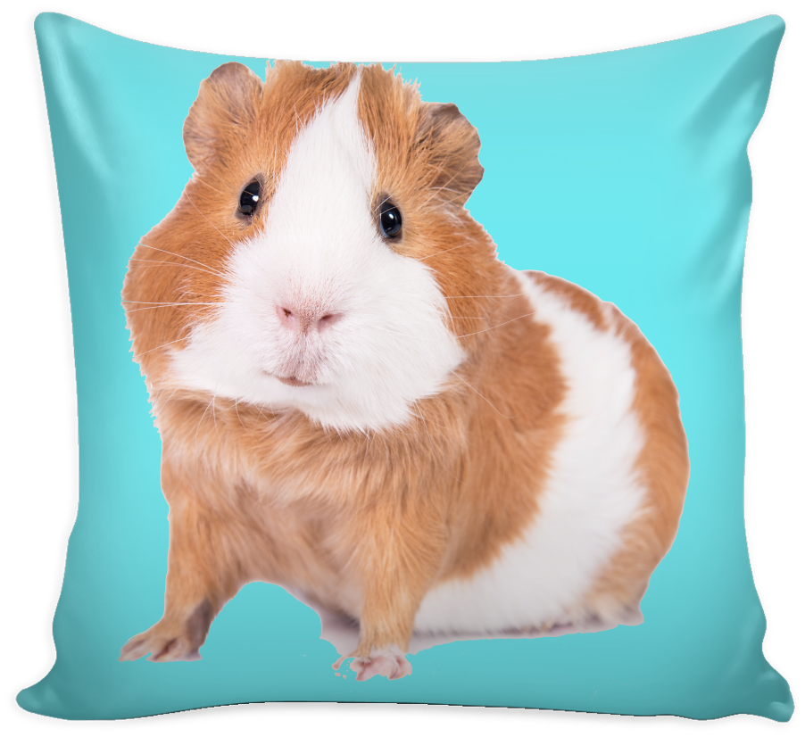 Pillow (1024x1024), Png Download