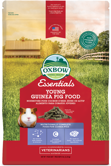 Guinea Pig Food - Oxbow Young Rabbit Food (500x723), Png Download