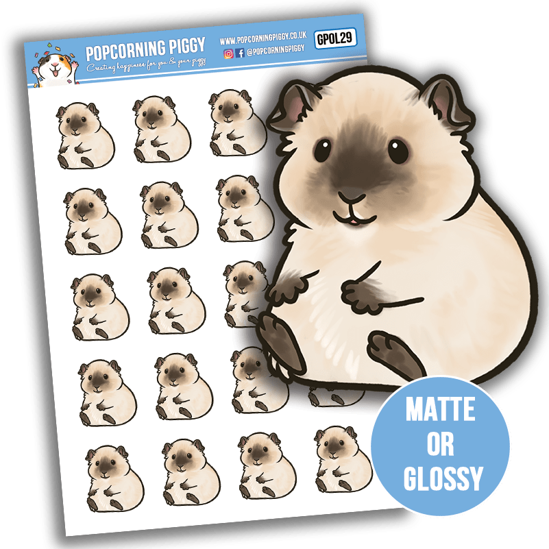 Californian Guinea Pig Sticker 3 Sizes Available - Cartoon (801x801), Png Download