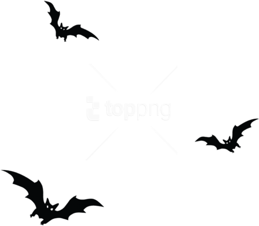 Free Png Download Haunted Bats Png Vector Png Images - Bats Png (850x750), Png Download