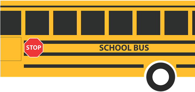 School Bus Graphics - School Bus (640x480), Png Download