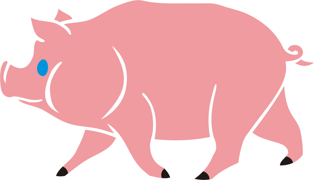 Domestic Pig Whiskers T-shirt Animal - Hình Ảnh Không Có Nền (1307x750), Png Download