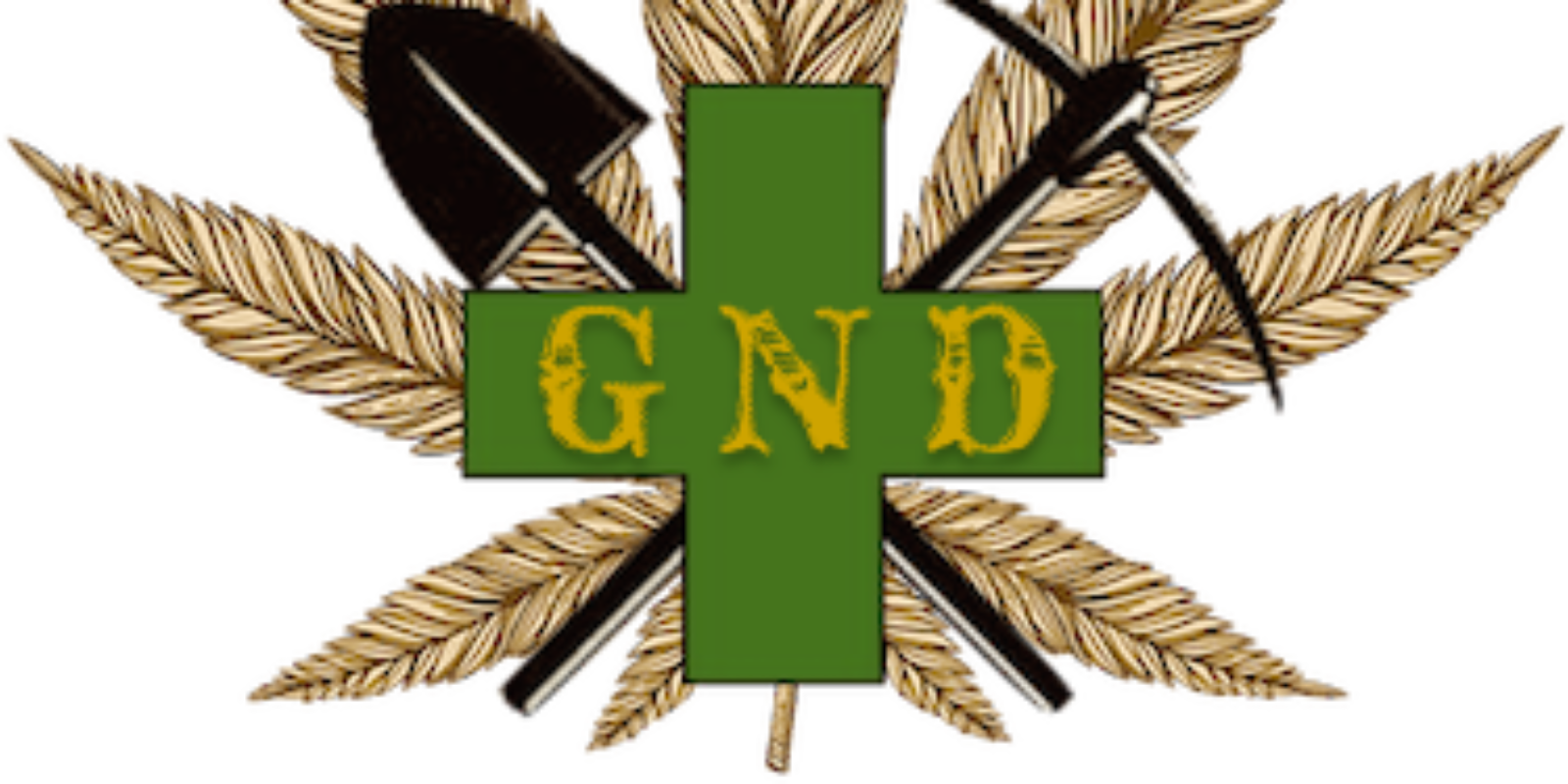 Golden Nugget Dispensary (1600x800), Png Download