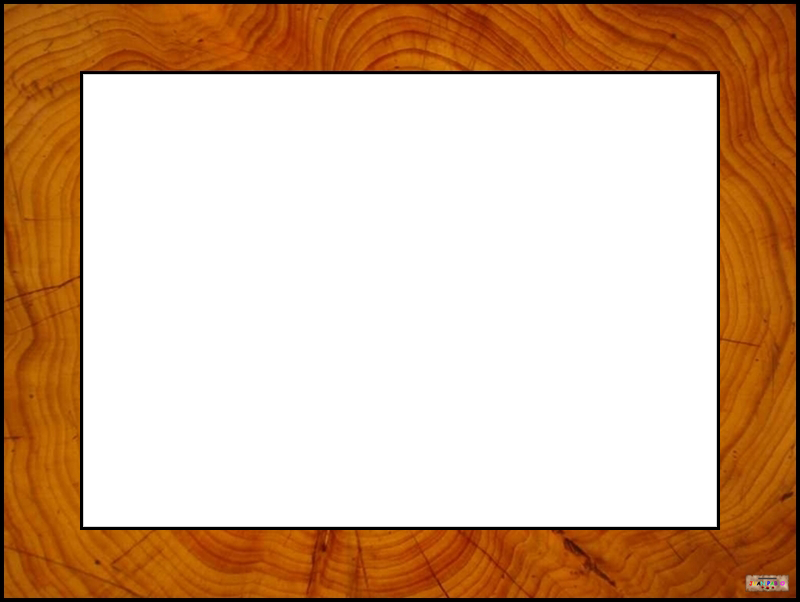Madera Png - Picture Frame (800x602), Png Download