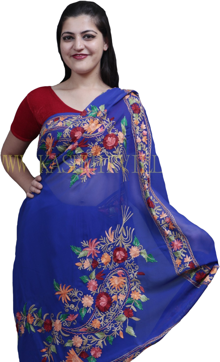 Royal Blue Colour Saree With Aari Work Border And Bold - Photo Shoot (800x1200), Png Download