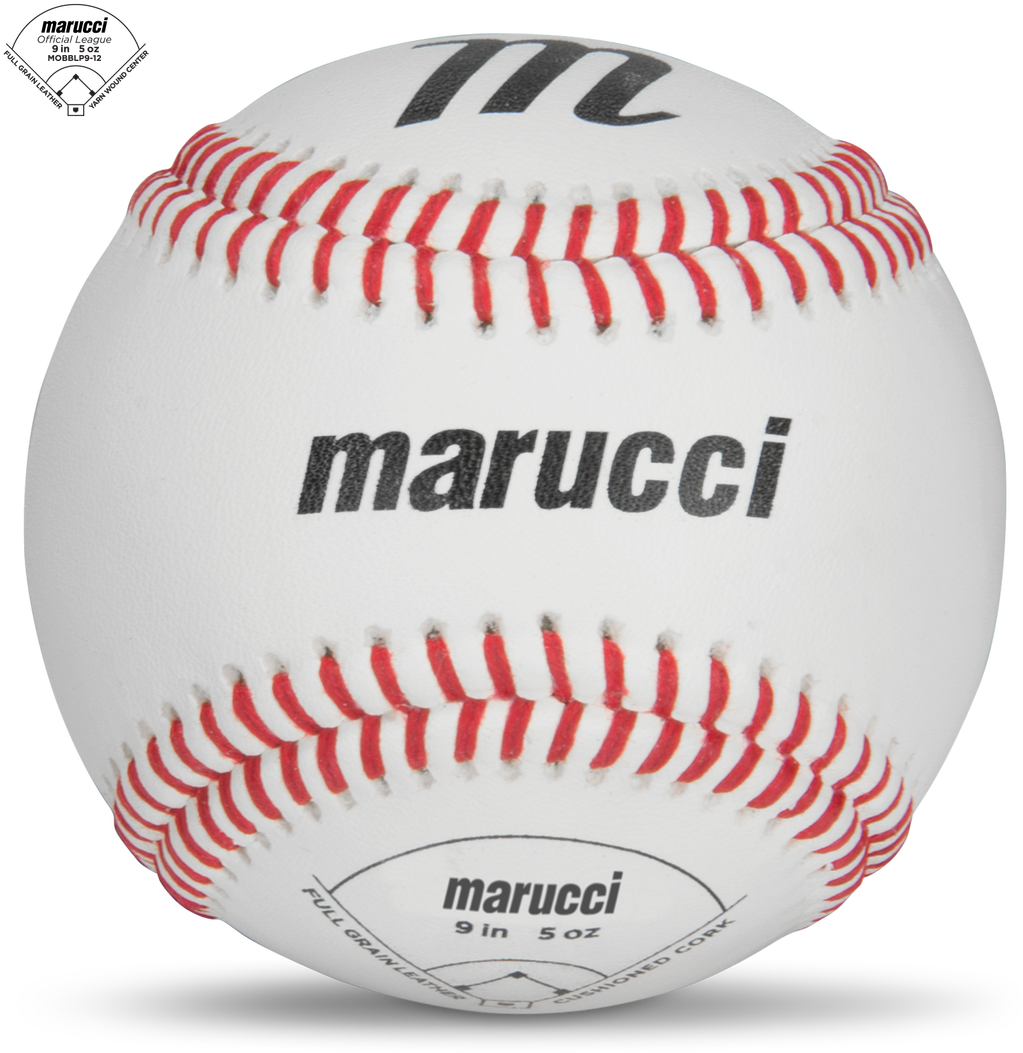 Mobblp9-12 - Ted Williams Hof Inscribed Baseball (1280x1280), Png Download