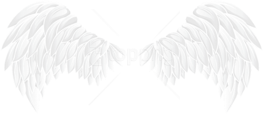 Free Png White Wings Png Images Transparent - White Wings Png (850x373), Png Download