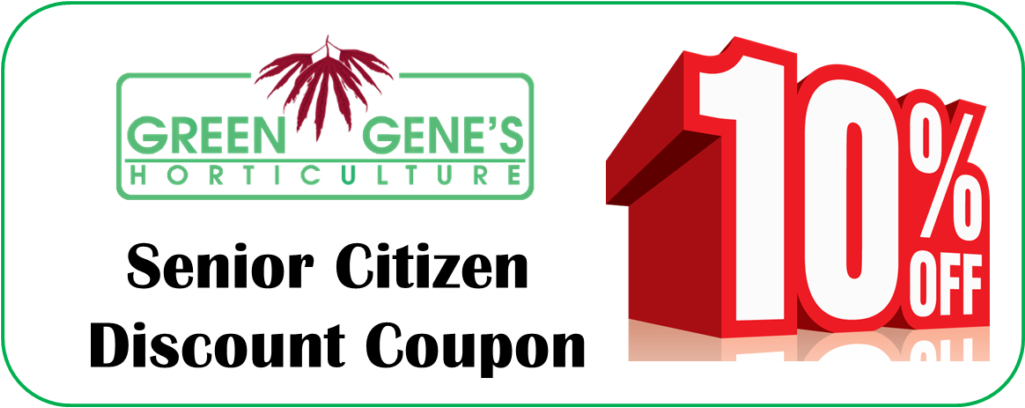 ***the 10% Discount Will Not Apply To The Labor Cost - Graphic Design (1024x421), Png Download
