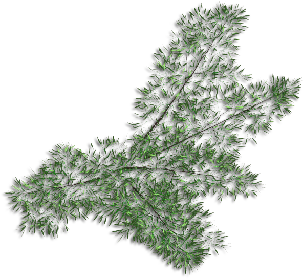 Bamboospread - Grass (600x600), Png Download