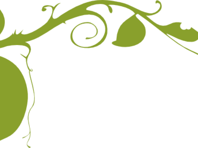 Planting Cliparts Border - Vines Vector Black And White (640x480), Png Download