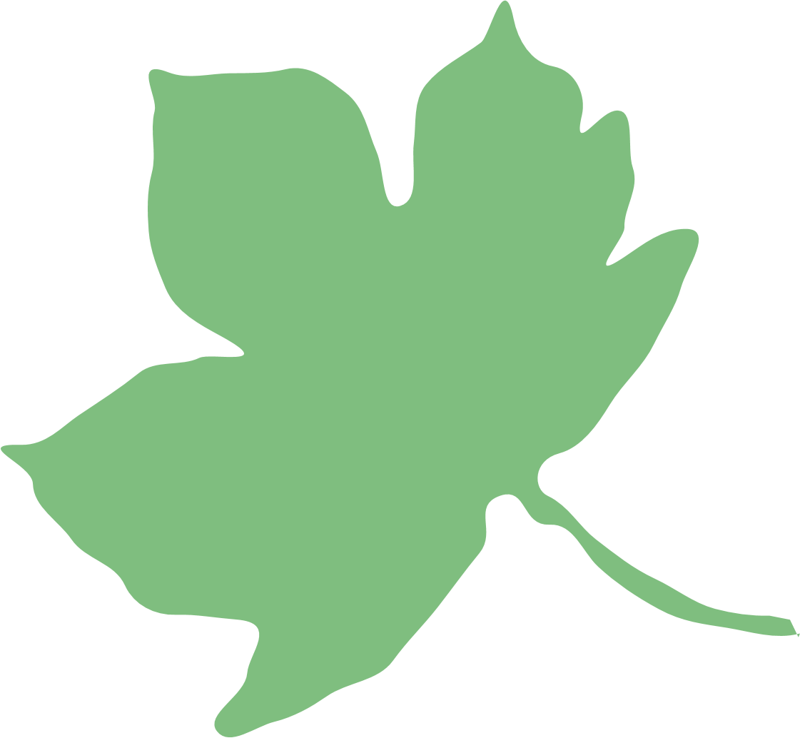 Forest School Handbook (1121x1034), Png Download