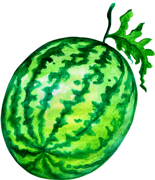 Watermelon (866x650), Png Download