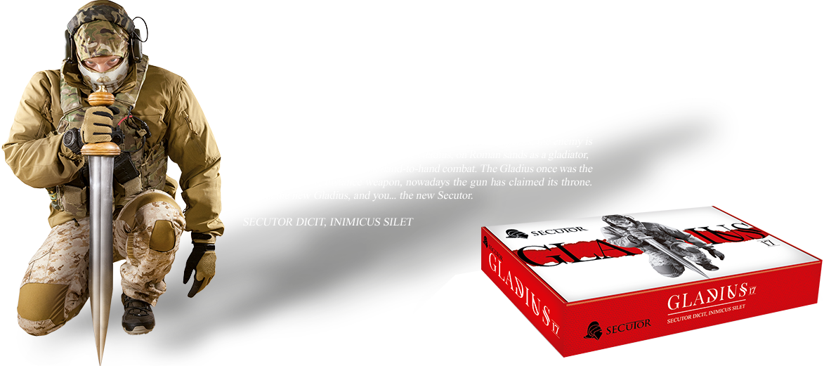 Secutor Gladius Logo (1173x521), Png Download