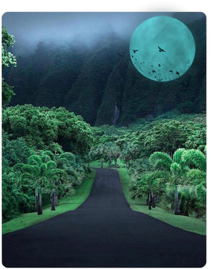 Wood Sticker - Koolau Mountains (1024x1024), Png Download