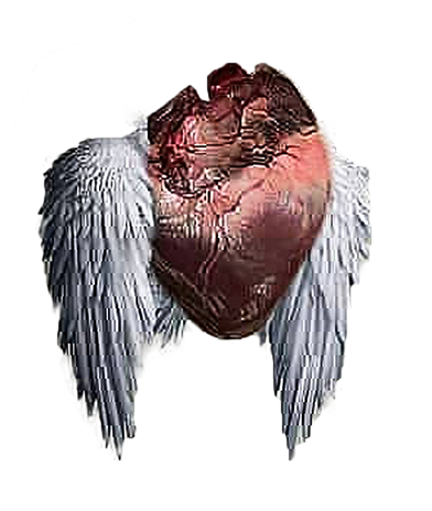 Flying Heart Png Heartless Editing Png - Heartless Editing Png (573x724), Png Download
