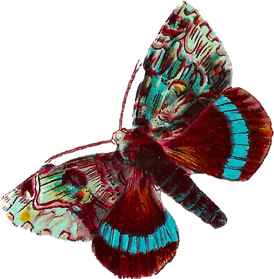 Blue Butterfly Clip Art - Digital Butterfly Png (588x620), Png Download