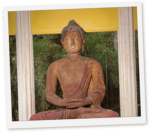 The Story Behind The 900 Year Old Buddha Statue At - Buddha Jungle Gardens (500x443), Png Download