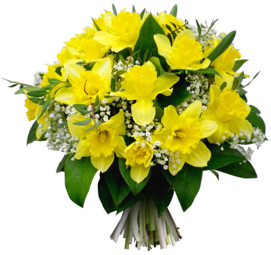 Tube Bouquet De Jonquilles - Jonquille (600x600), Png Download
