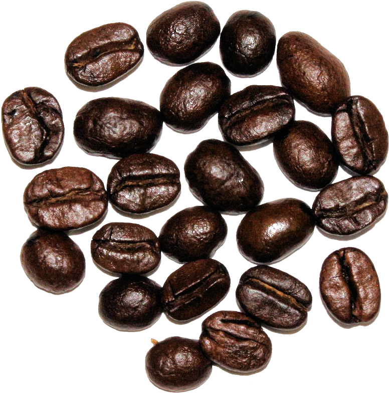 Dutch Chocolate Fudge - Java Coffee (1024x1024), Png Download