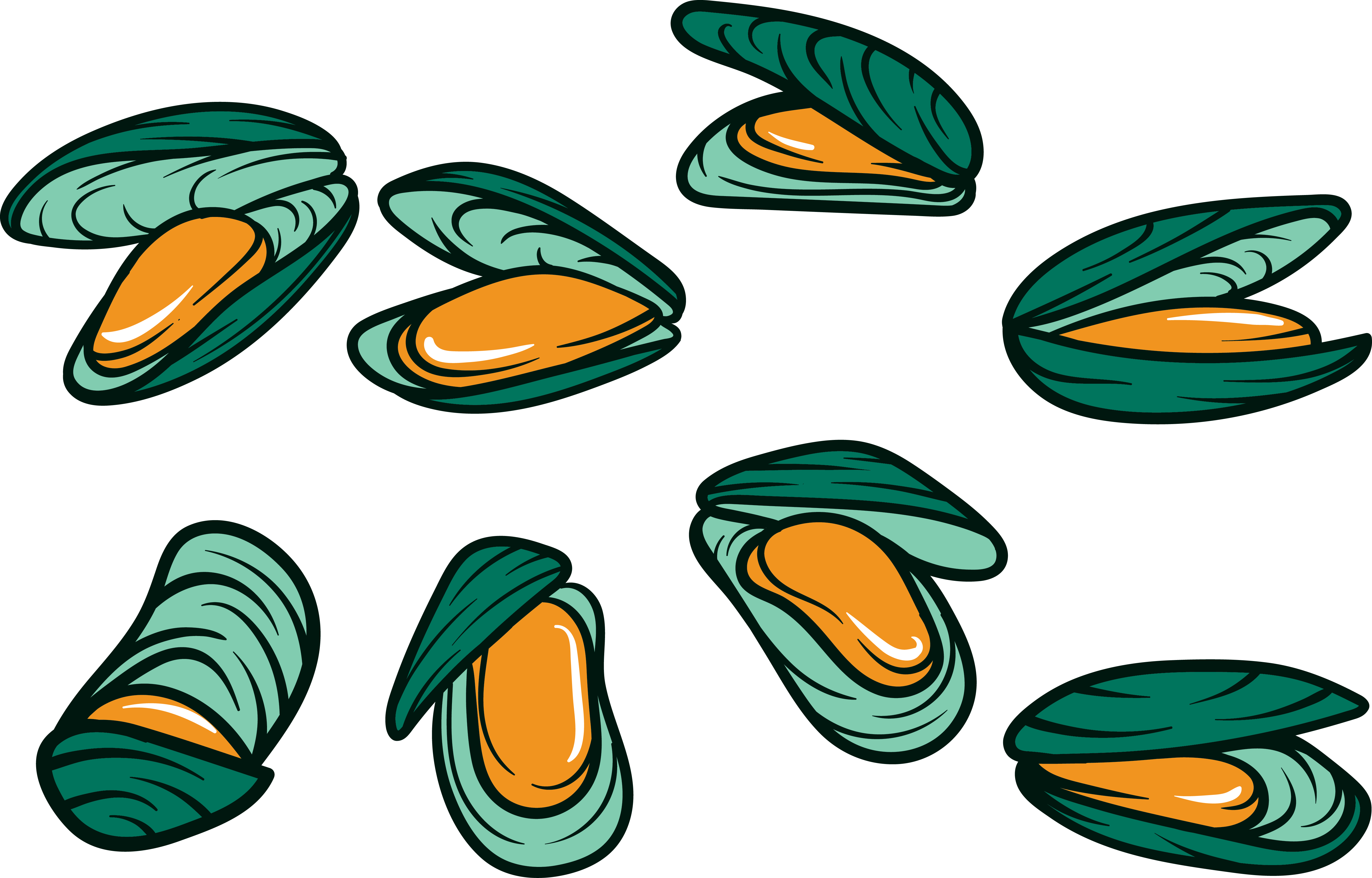 Clip Art Free Download Mussel Clipart Free On Dumielauxepices - Mussel Cartoon (5200x3327), Png Download