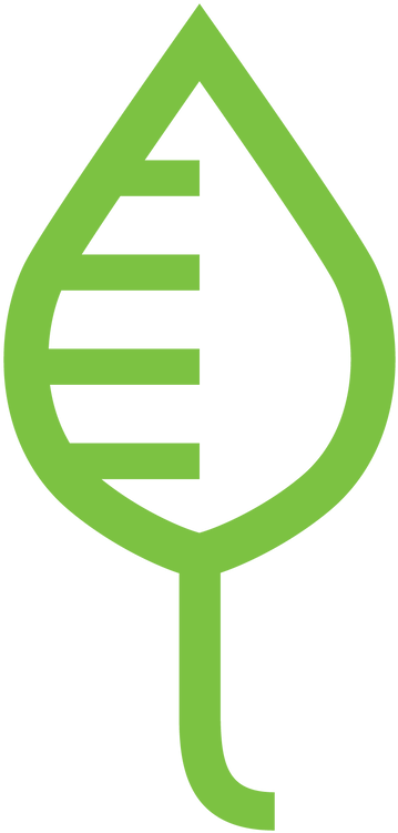 Leaf 31kb (438x760), Png Download