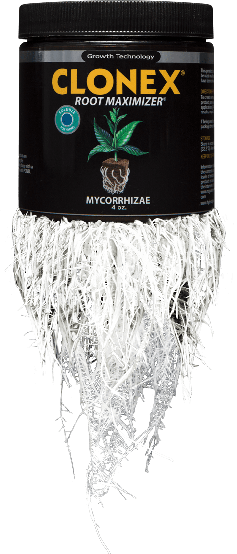 Underpants (500x1116), Png Download