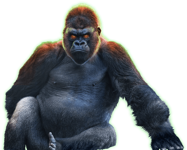 Download Epic Ape - Full Size PNG Image - PNGkit