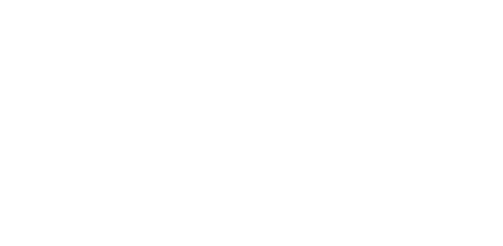 Jeff Devlin - Twitter White Bird Logo (1024x501), Png Download