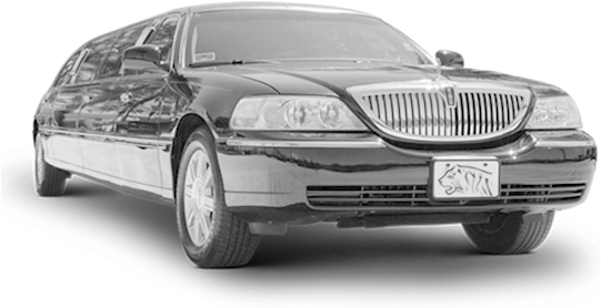 Limousines - Limousine Driver Png (560x580), Png Download