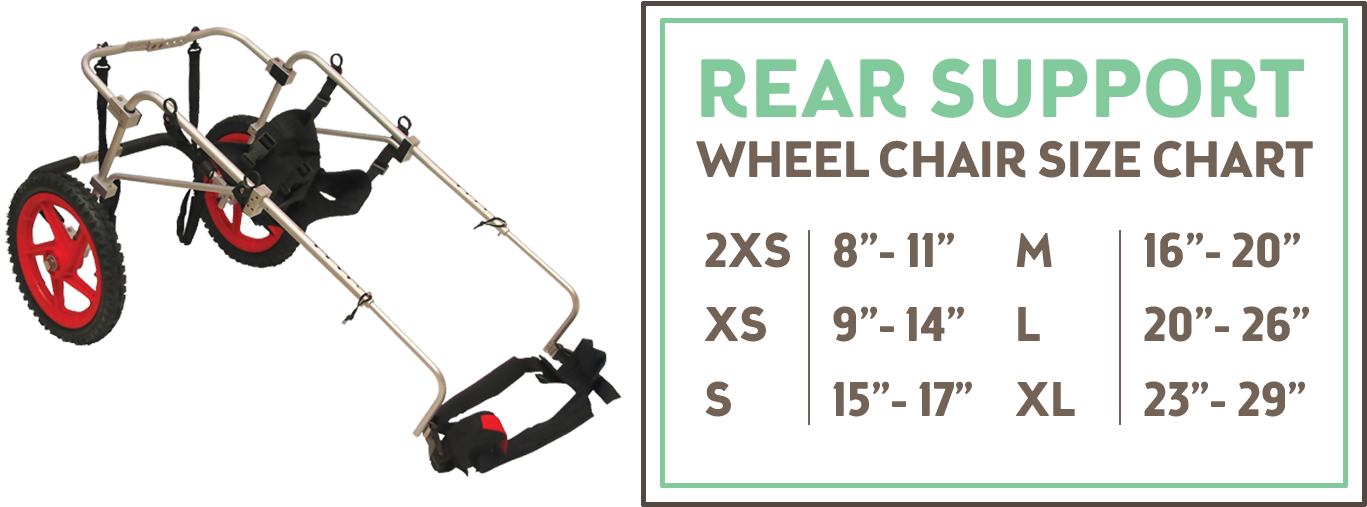 If Your Pet Has Very Little Or No Rear-limb Strength, - Wózek Inwalidzki Dla Psa (1500x661), Png Download