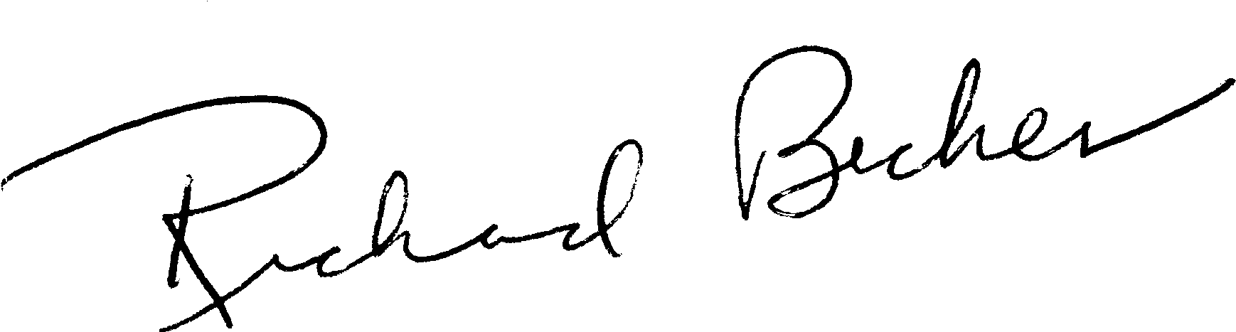 In Solidarity, - Calligraphy (2204x680), Png Download