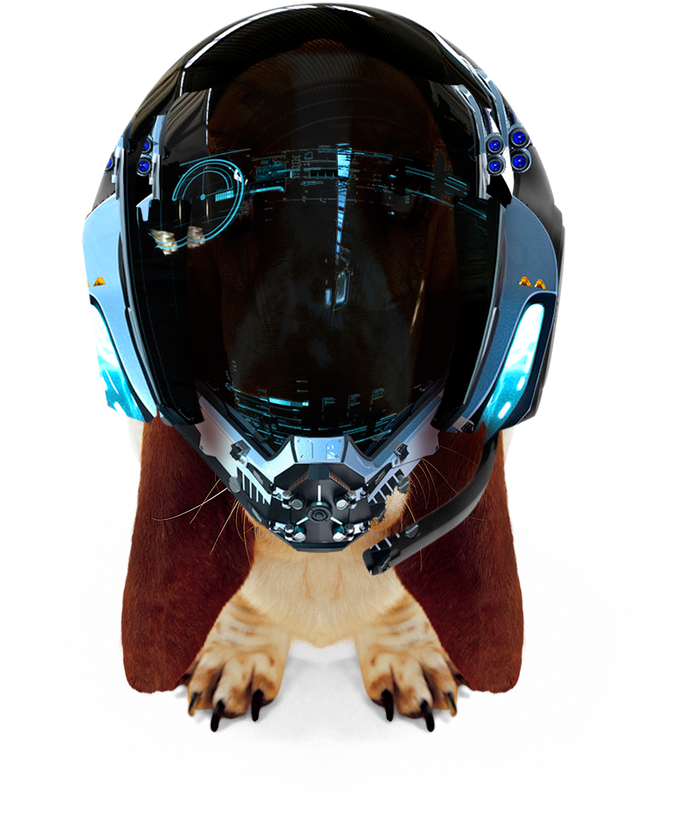 Star Citizen Abubu Helmet - M Sorry Cards (1233x1360), Png Download