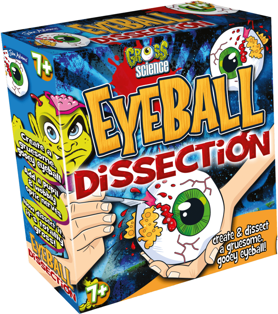 Eyeball Dissectiont Box Left - Eyeball Dissection Gross Science (1024x1143), Png Download