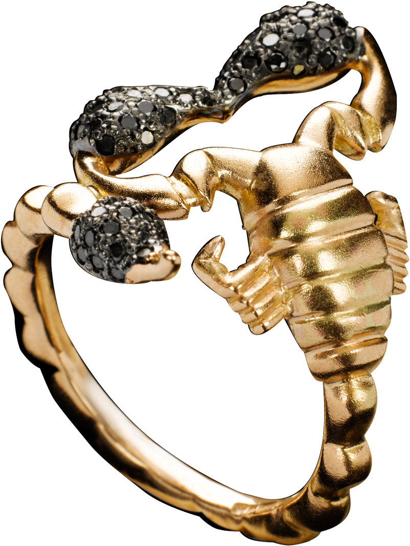 To Go With The Scorpions At Our House Scorpion Diamond (2500x1492), Png Download