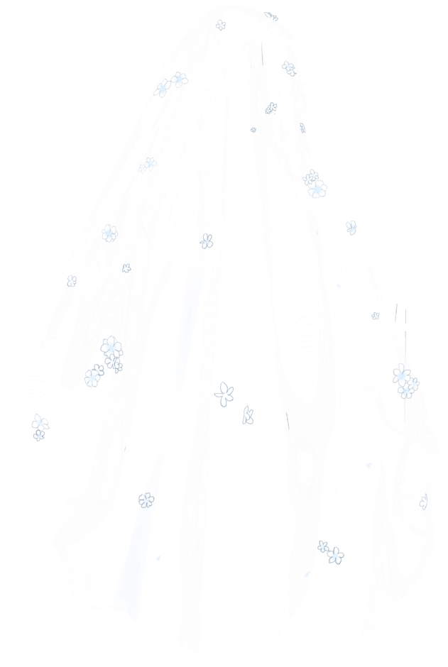 Dream Veil - Veil (631x940), Png Download