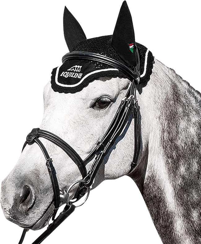 Fly Veil Outline By Equiline - Equiline Ear Bonnet (800x800), Png Download