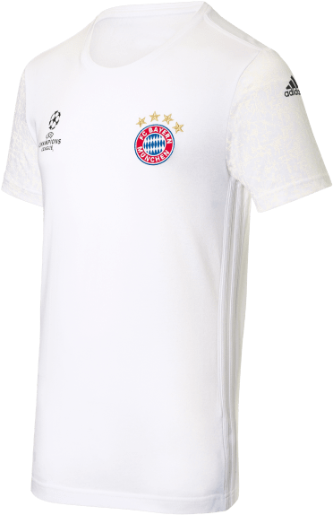 Adidas Ucl Teamline T-shirt - Adidas Originals E12 Poland (660x660), Png Download