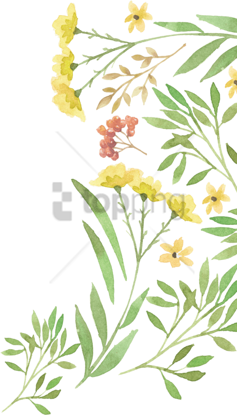 Free Png Green Watercolour Flower Png Image With Transparent - Png Watercolor Yellow Flower Png (480x840), Png Download