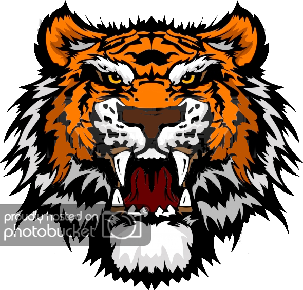 Tiger Head Png (590x565), Png Download