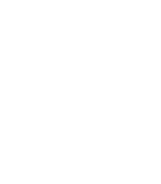 Department Of Electronics And Communication Engineering - Twitter White Bird Logo (549x625), Png Download