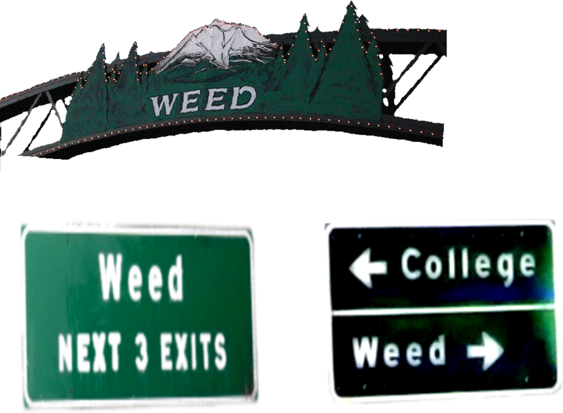 Weed Street Signs - Weed (817x600), Png Download